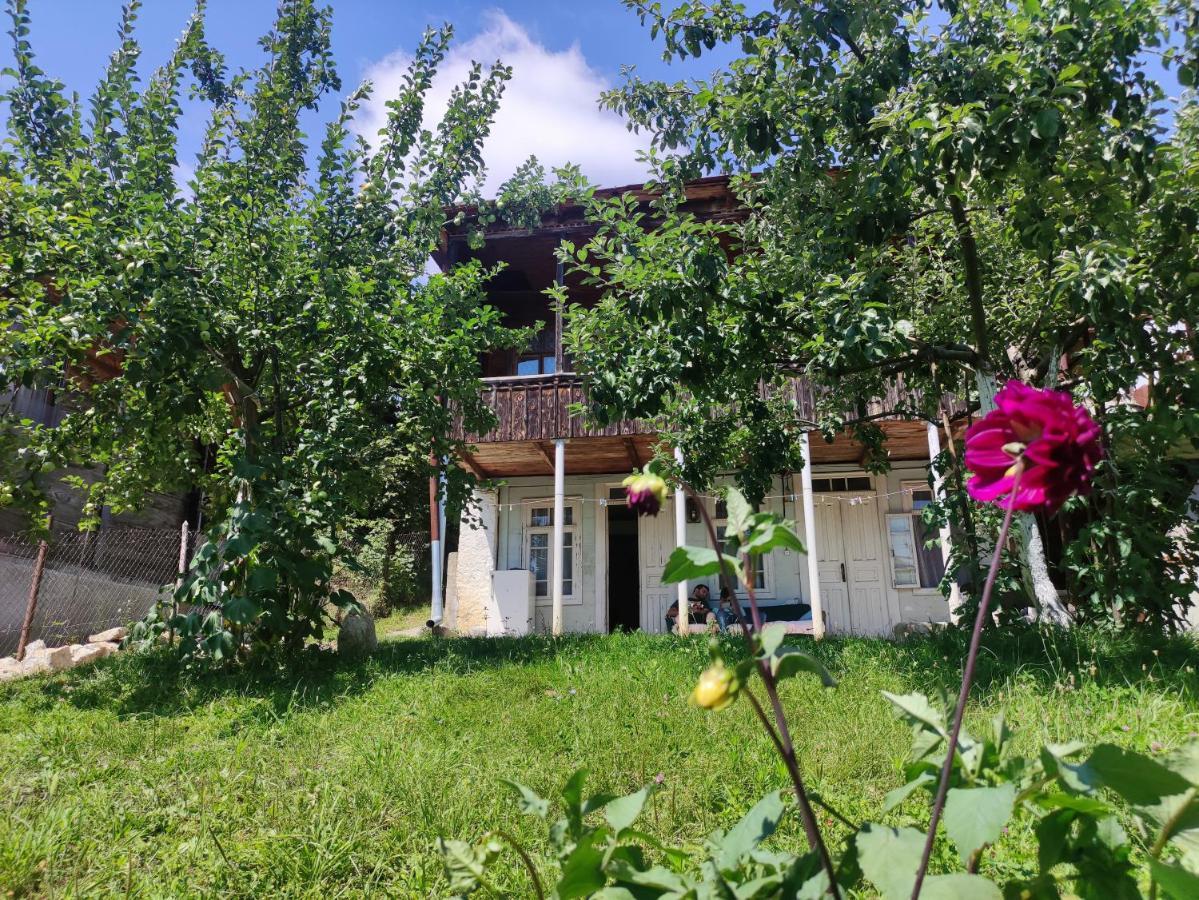 Racha Chogovadze'S Guest House Ambrolauri Exteriér fotografie